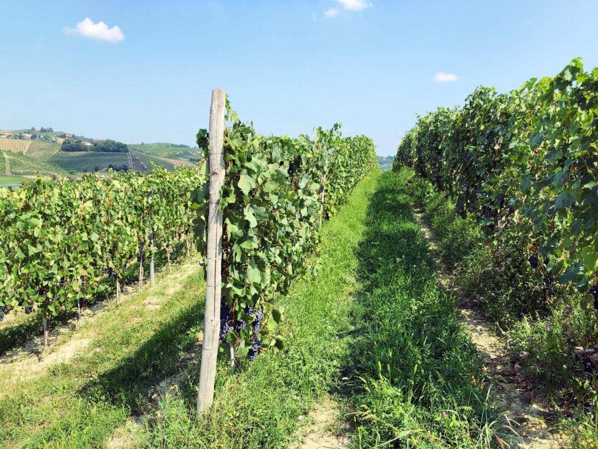 Agriturismo La Mussia Castelnuovo  Εξωτερικό φωτογραφία