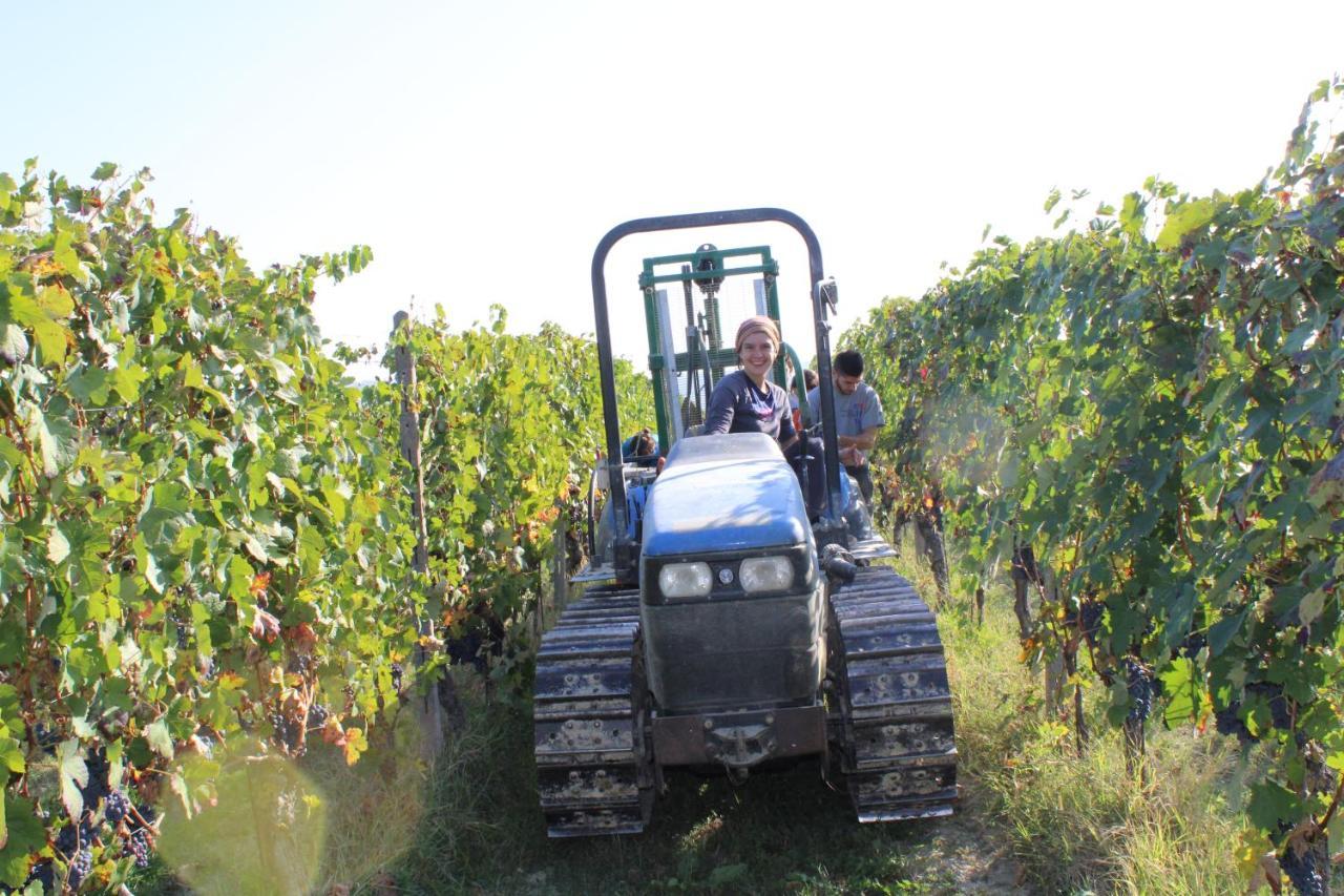 Agriturismo La Mussia Castelnuovo  Εξωτερικό φωτογραφία