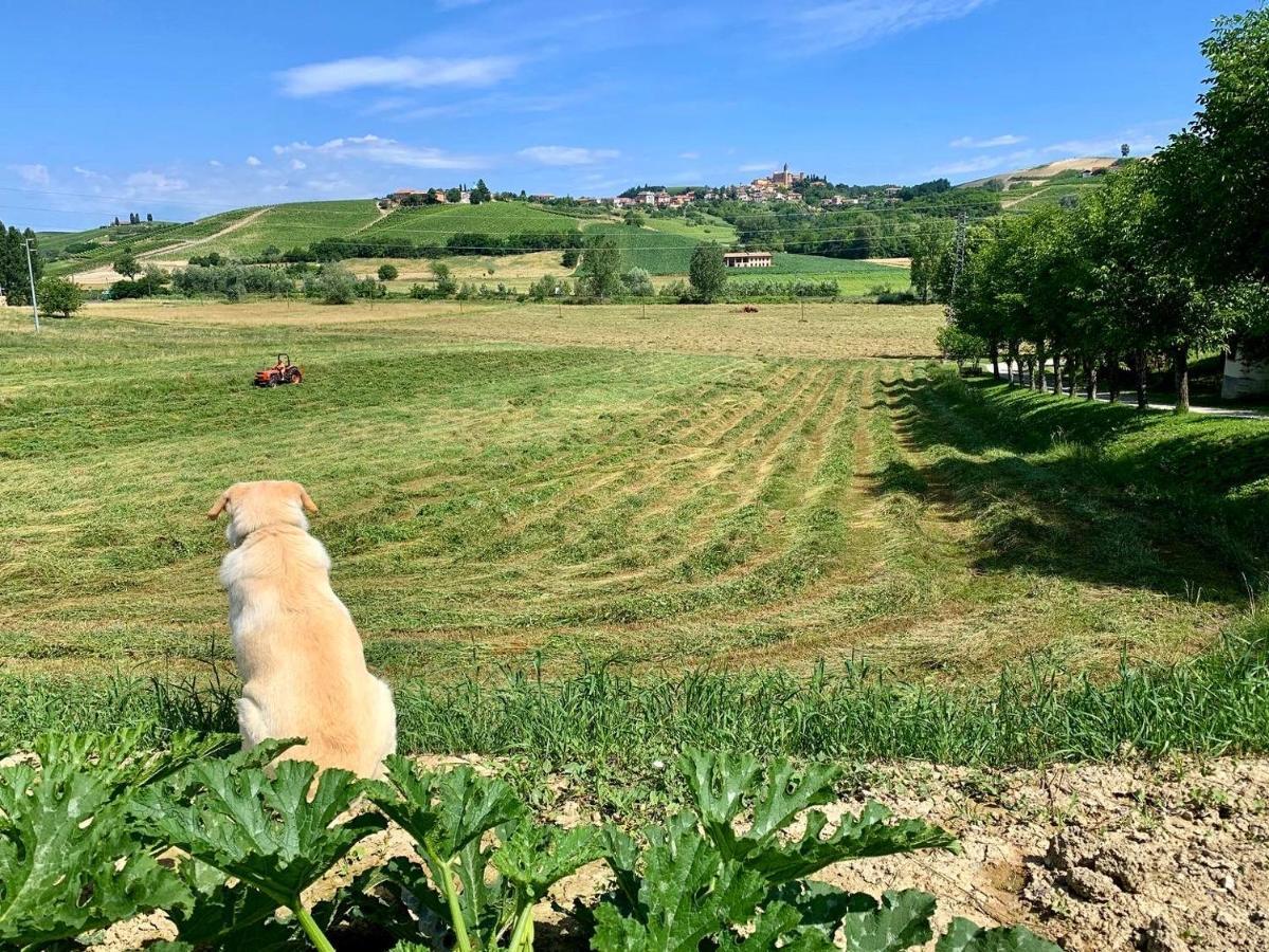 Agriturismo La Mussia Castelnuovo  Εξωτερικό φωτογραφία