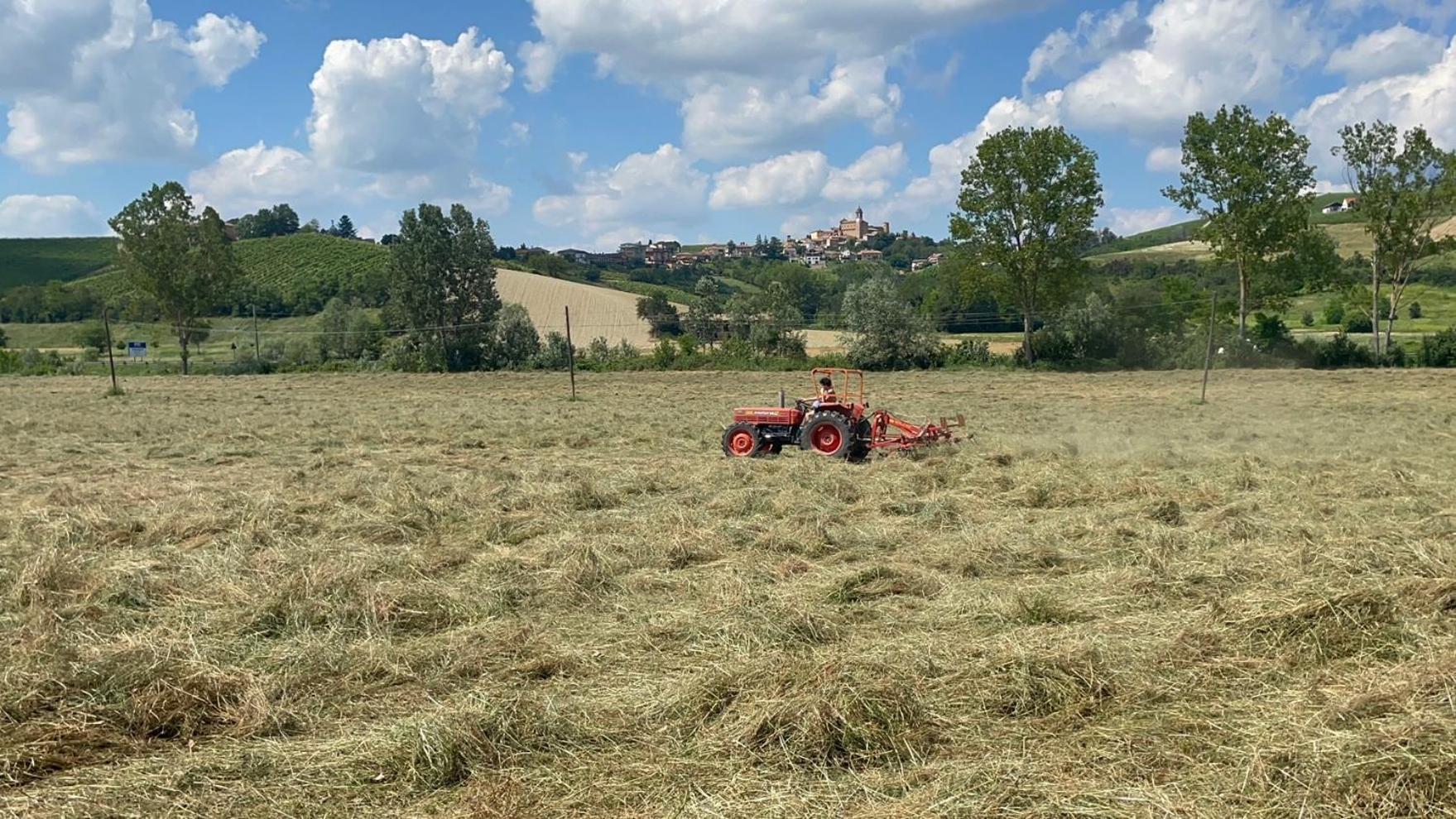 Agriturismo La Mussia Castelnuovo  Εξωτερικό φωτογραφία